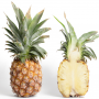 pineapple3.jpg.png